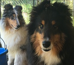 River & Kole